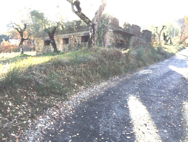 Fattoria in vendita