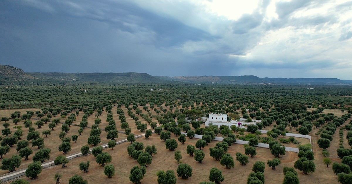 Masseria Brancati