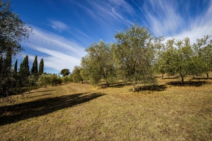 Casale in vendita a Siena