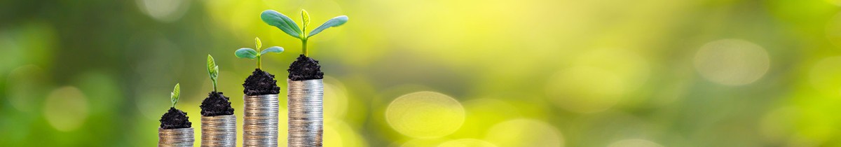 Tutte le misure del decreto Ristori