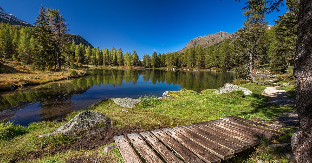 parco nazionale d'abruzzo