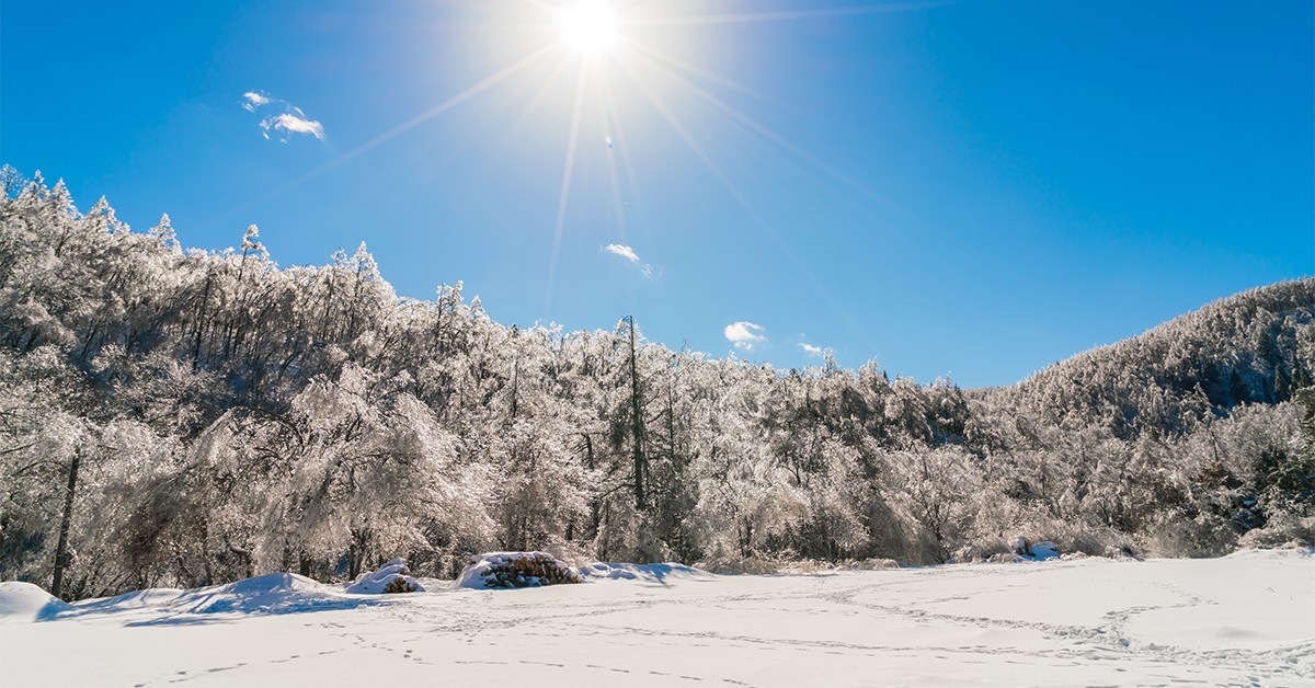 Snow in Molise