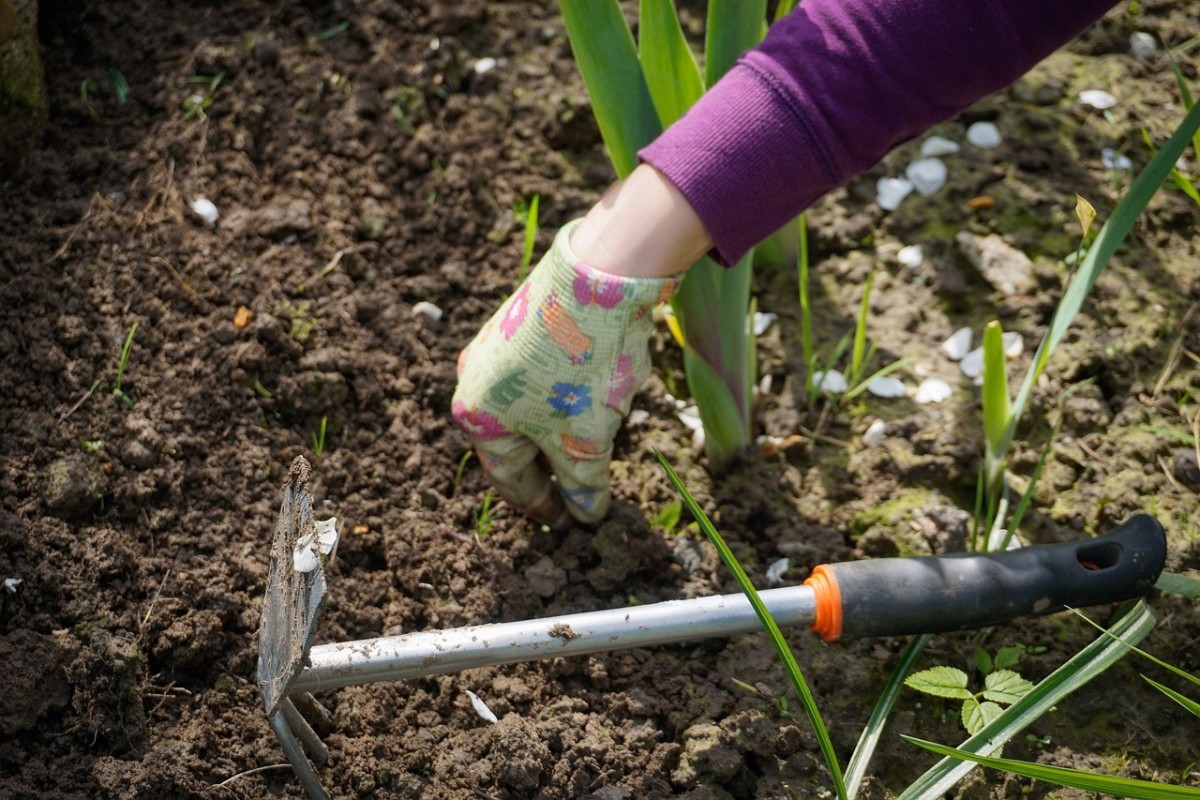 Come eliminare le erbacce dal giardino, alcuni trucchi casalinghi