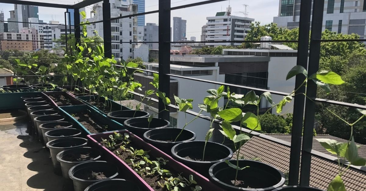 bonus verde 730 precompilato 2023