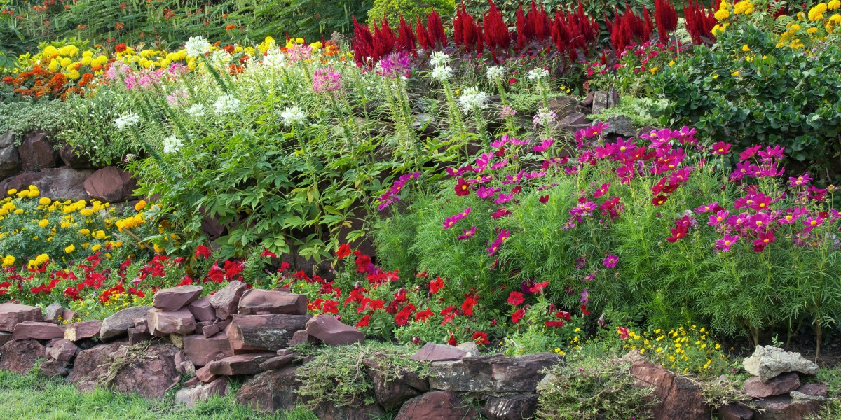 aiuola con sassi fai da te