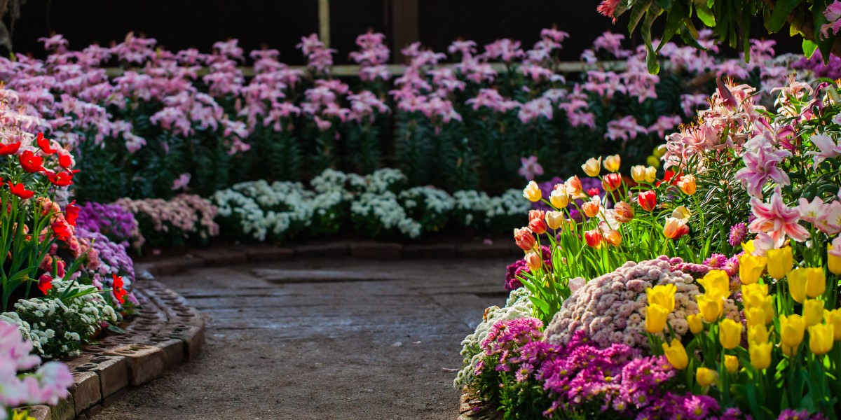 aiuola con sassi fai da te