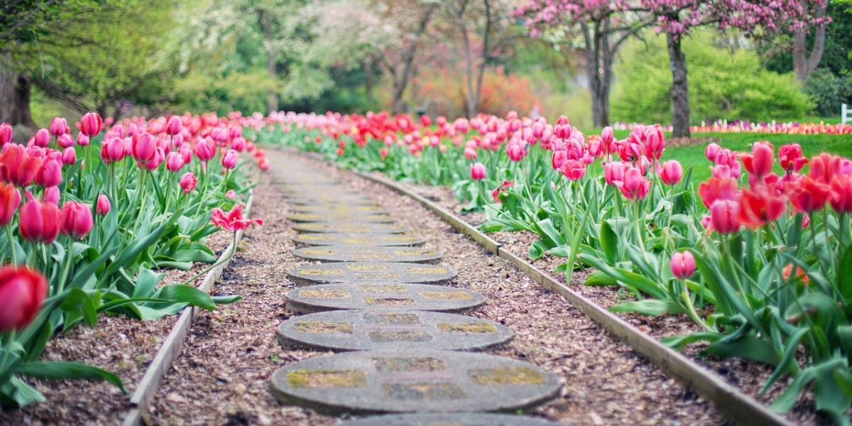 aiuola con sassi fai da te