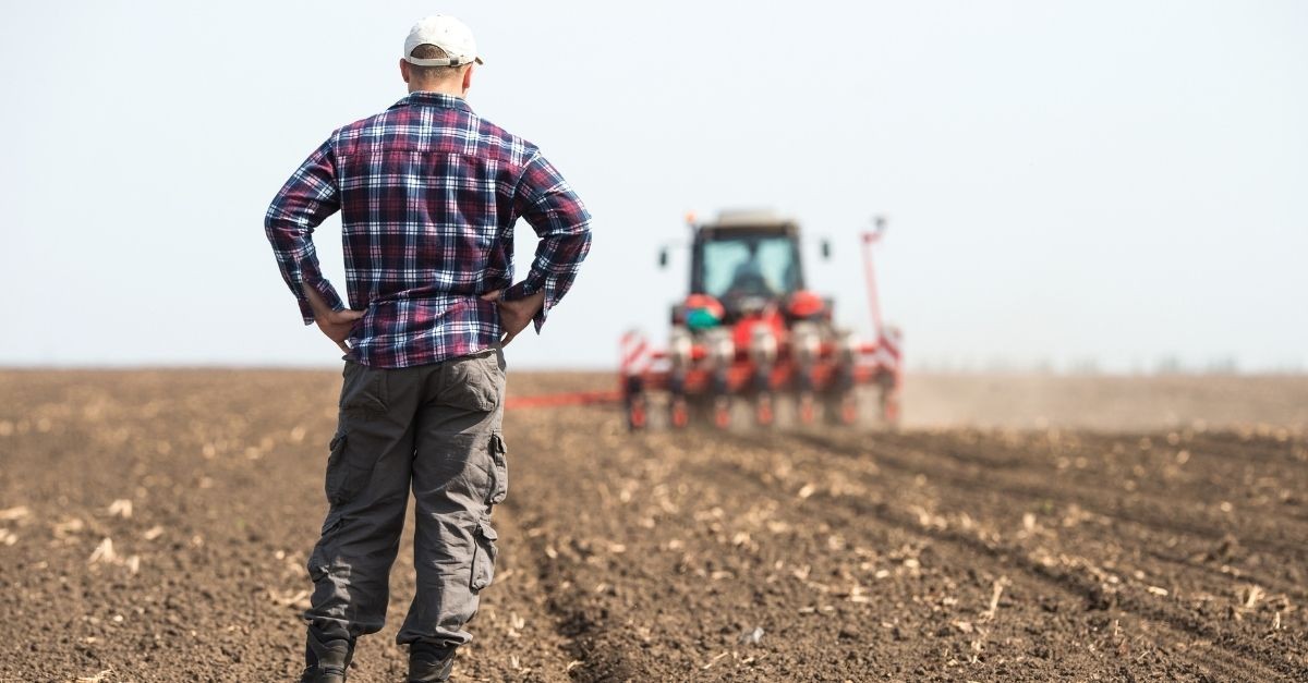 scrittura privata affitto terreno agricolo