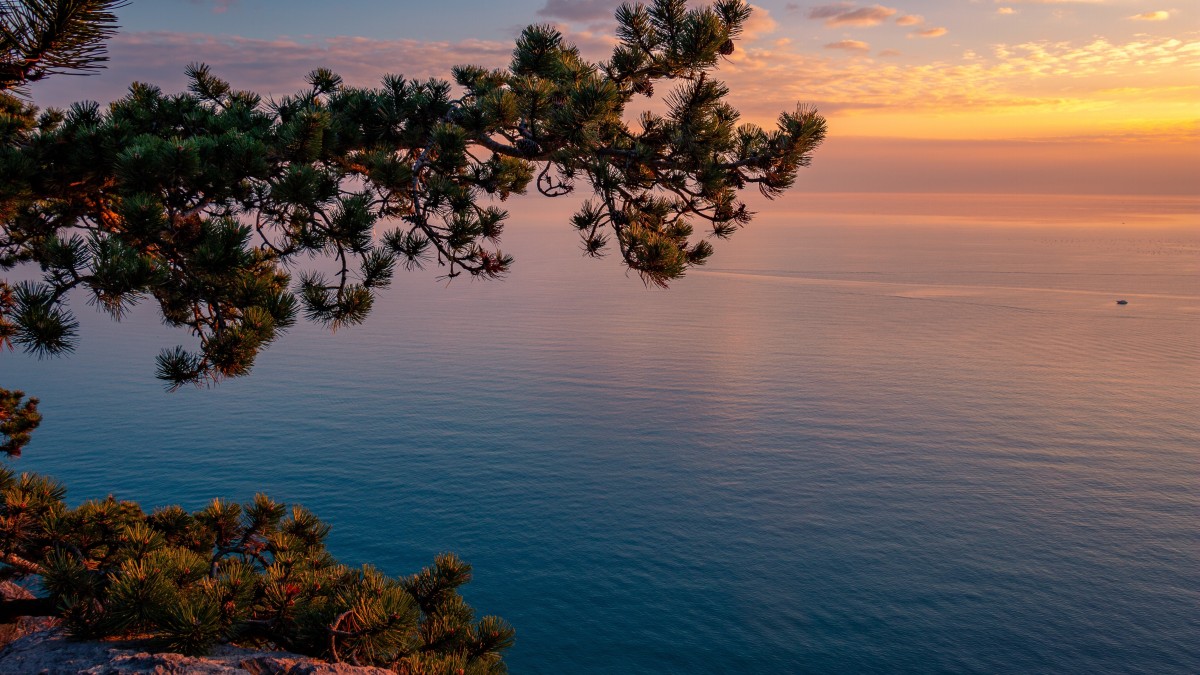 cosa vedere a trieste