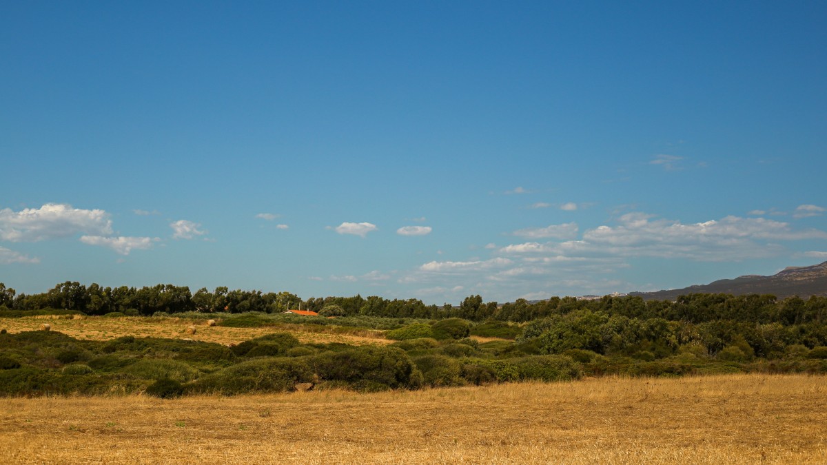 cosa vedere a oristano