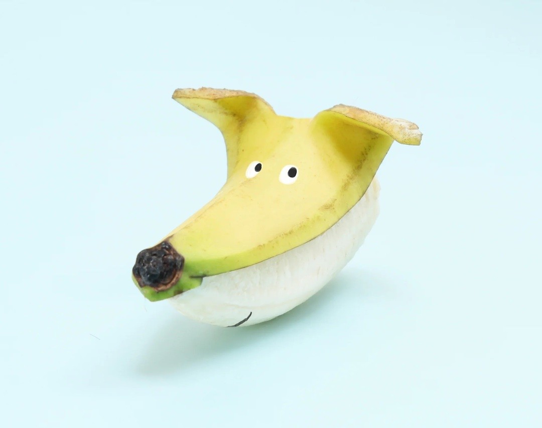 Banana Terrier 