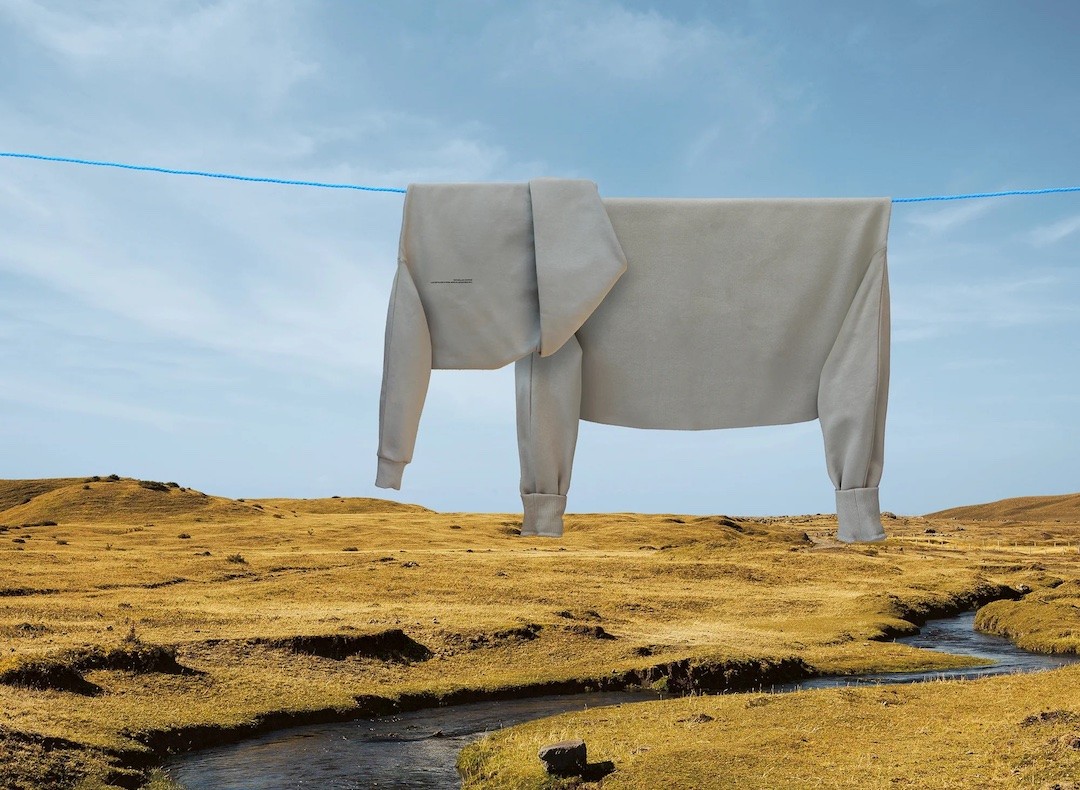 Elefante em estendal