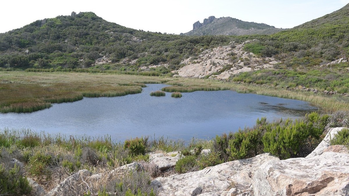 cosa vedere a capraia