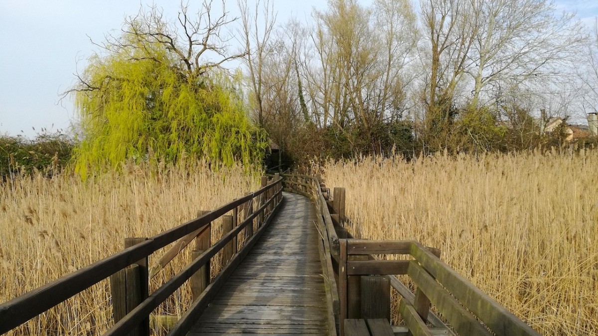 laguna di marano