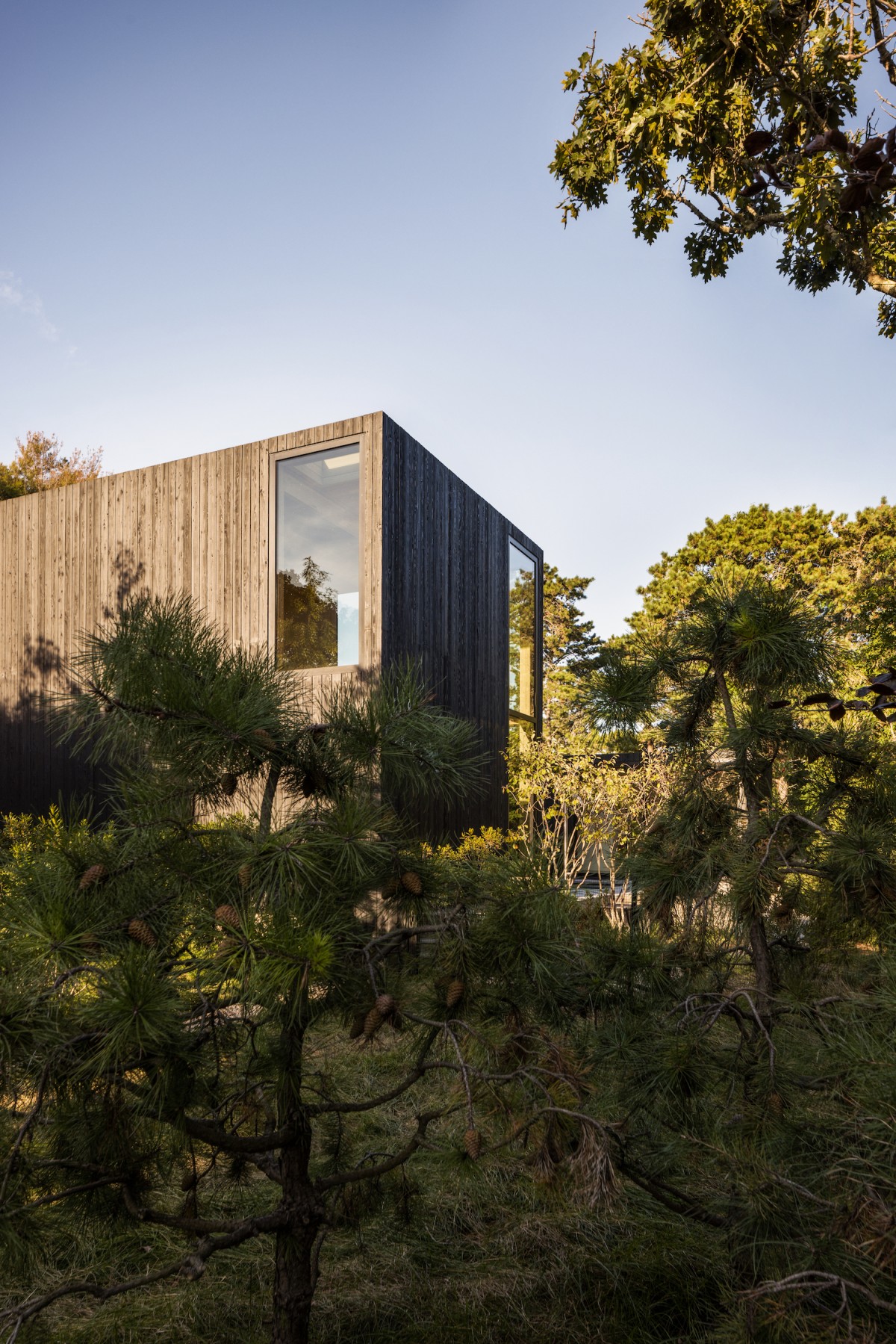 La vivienda entre la naturaleza