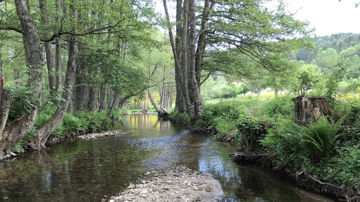 cosa vedere a strongoli