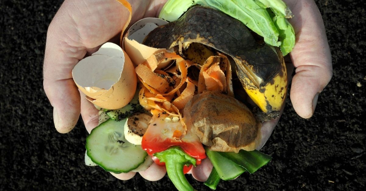 Compostiera domestica cos'è e come funziona il composter