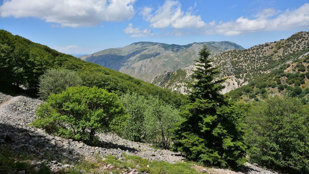 I migliori 10 paesi da vedere vicino Palermo