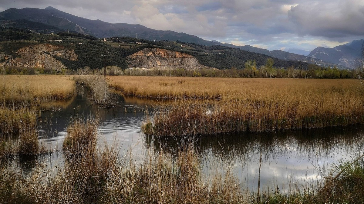 cosa vedere a montignoso
