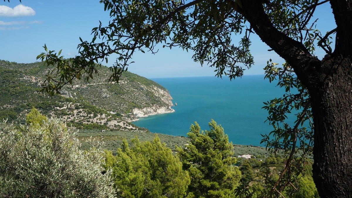 cosa vedere a vieste