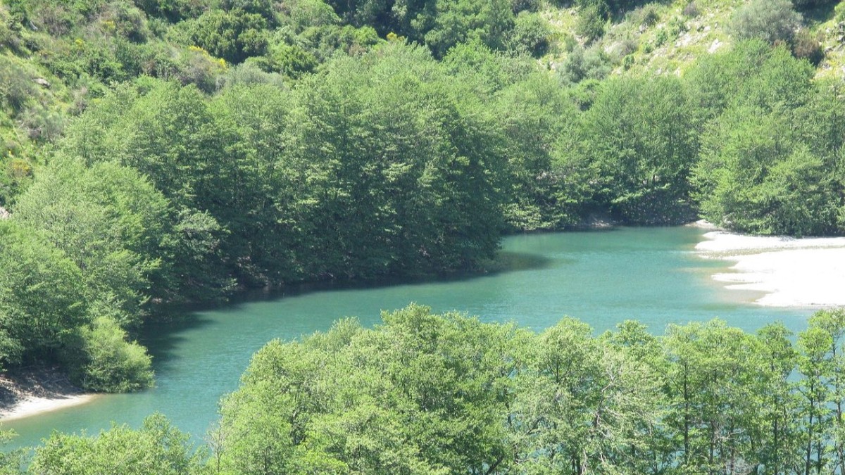 cosa vedere sull'aspromonte