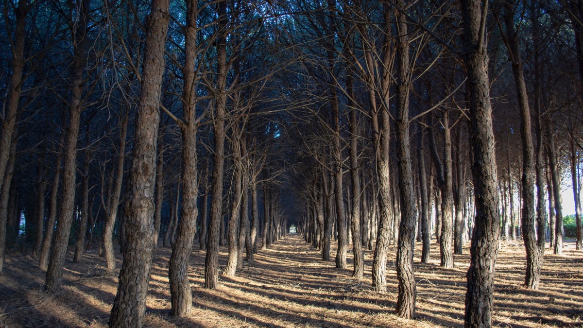 cosa vedere in costa degli aranci