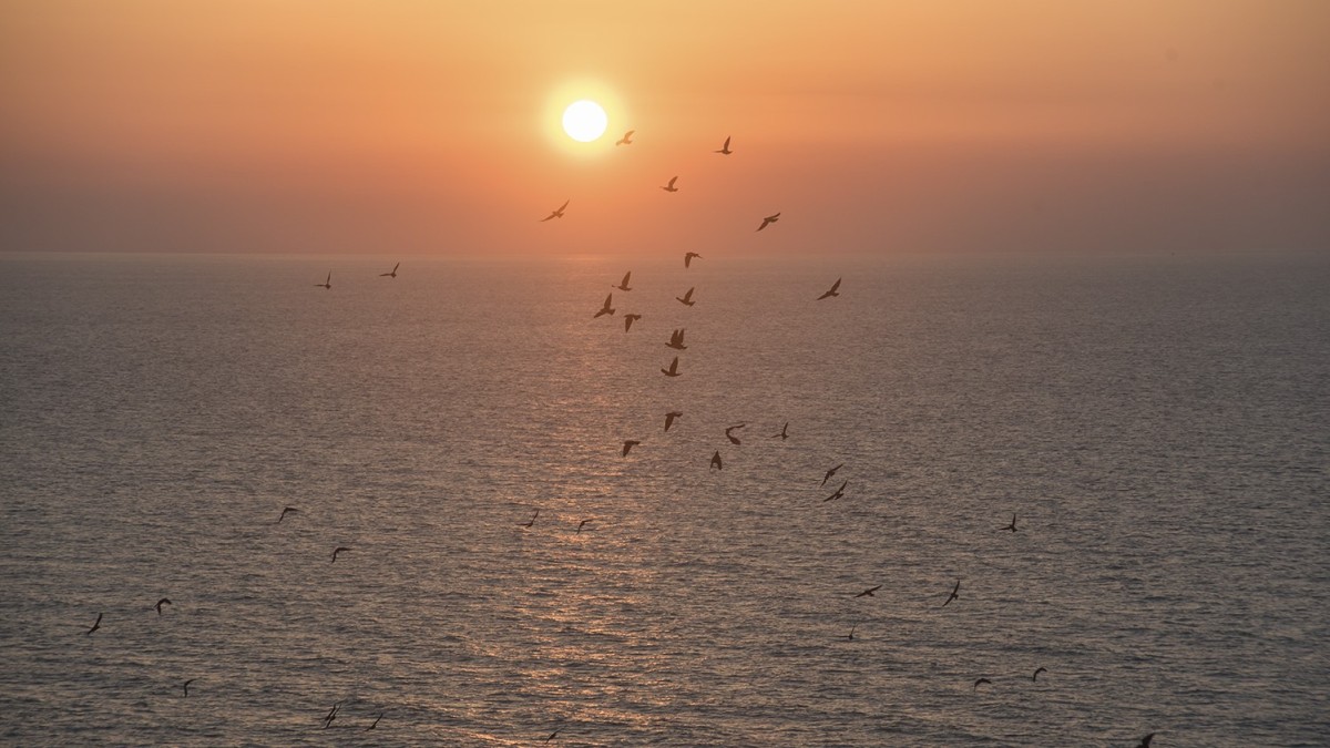 cosa vedere peschici