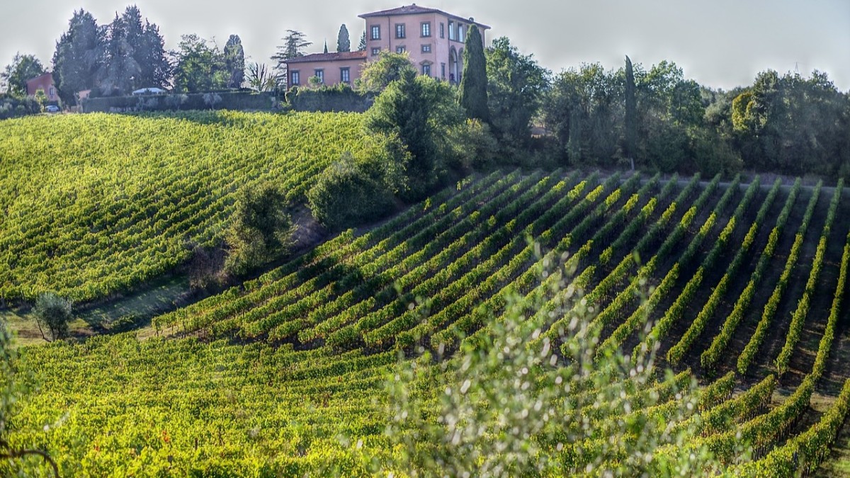 cosa vedere a san gimignano