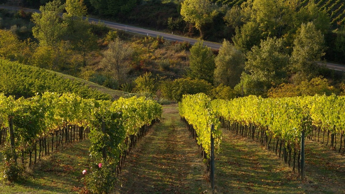 cosa vedere in chianti