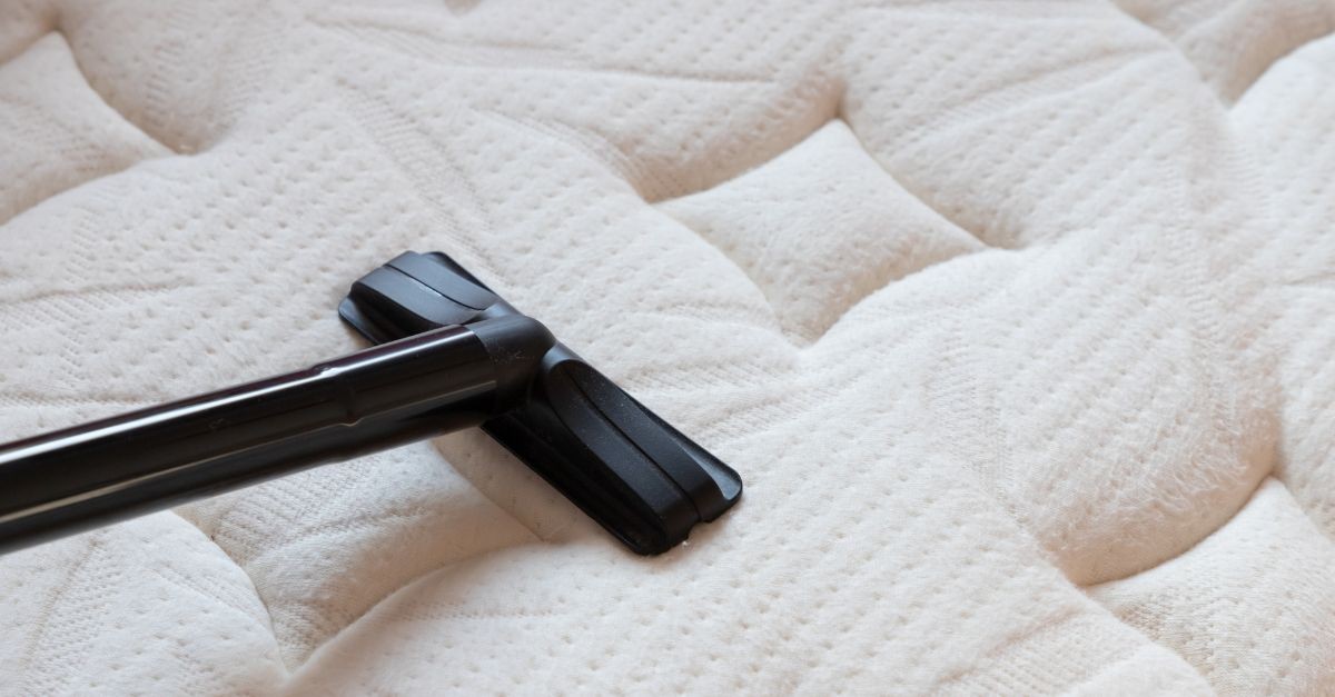 acari della polvere visibili letto