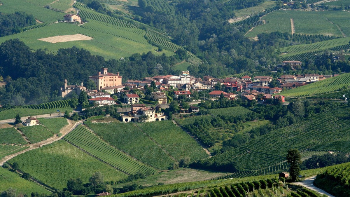 dove degustare vino in piemonte