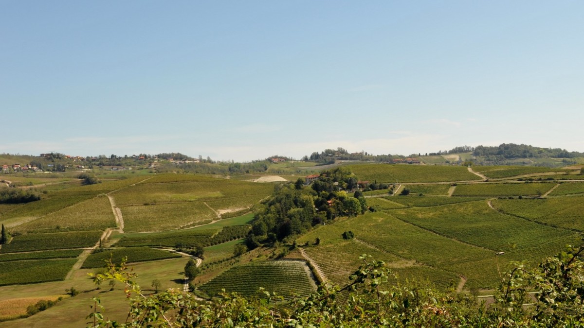 dove degustare vino in piemonte