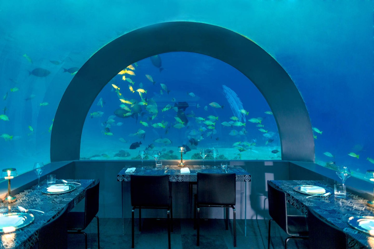 Un ristorante subacqueo alle Maldive progettato con design italiano —  idealista/news