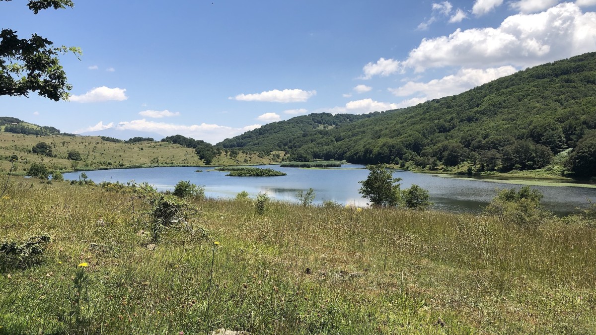 cosa vedere parco dei nebrodi