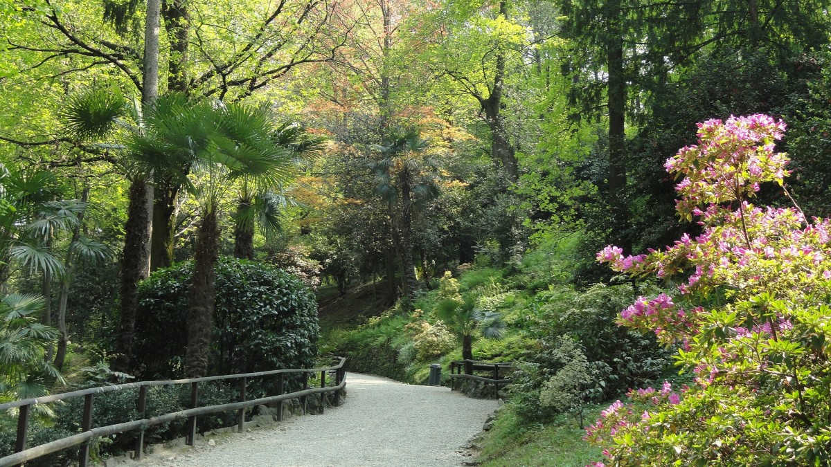cosa vedere a stresa