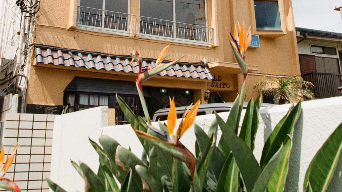 uccello del paradiso