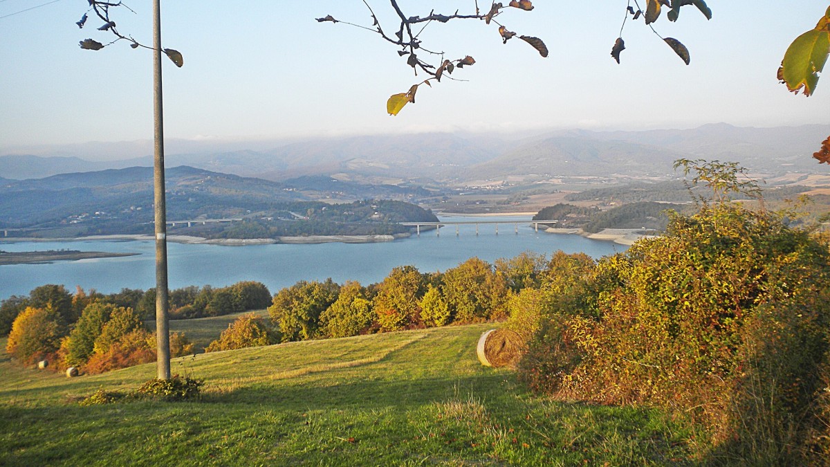 cosa vedere lago bilancino
