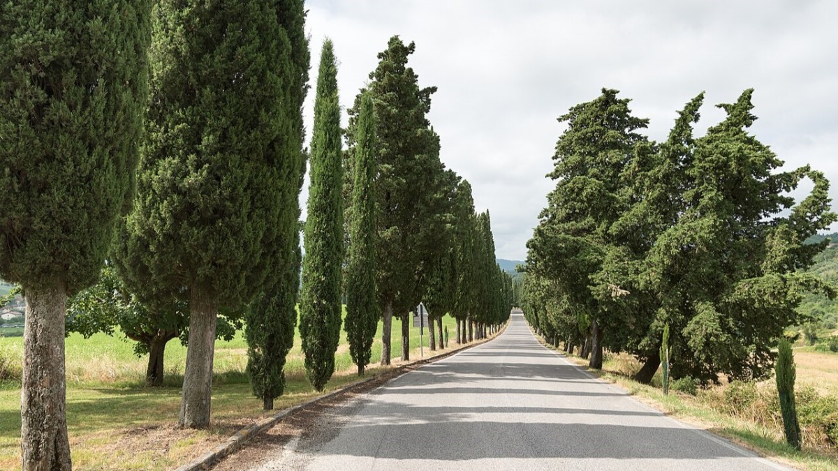 I migliori 10 paesi da vedere vicino Firenze