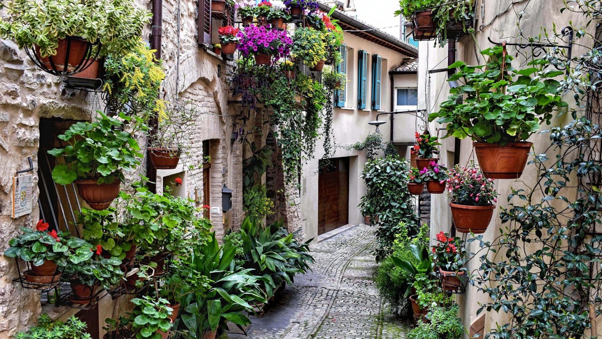 cosa vedere a spello