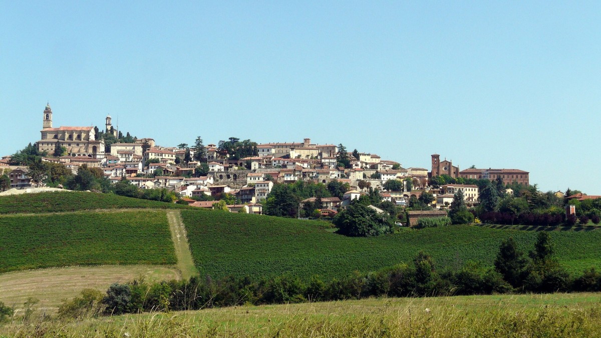 dove degustare vino in piemonte