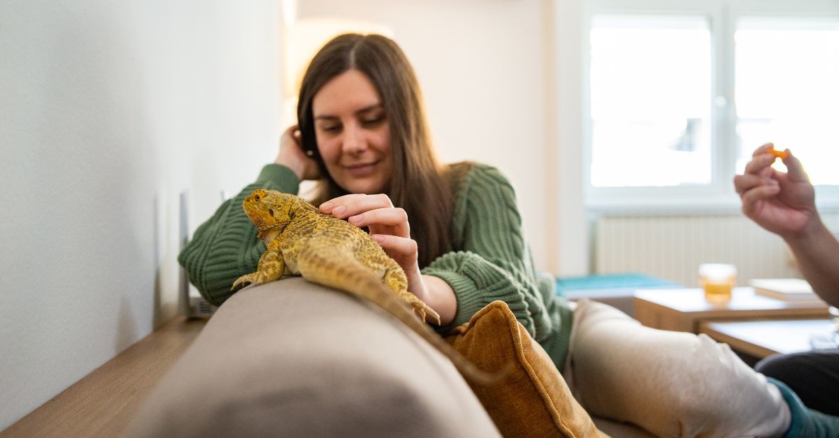 animali che si possono tenere in casa