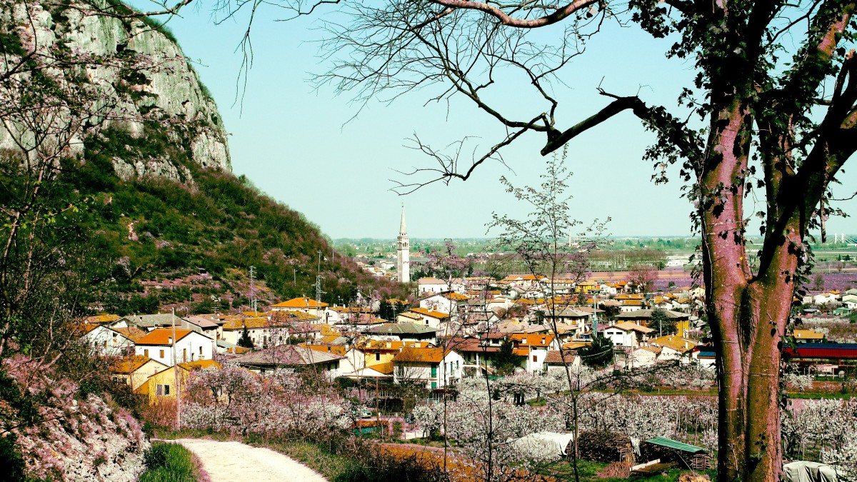 cosa vedere ai colli berici