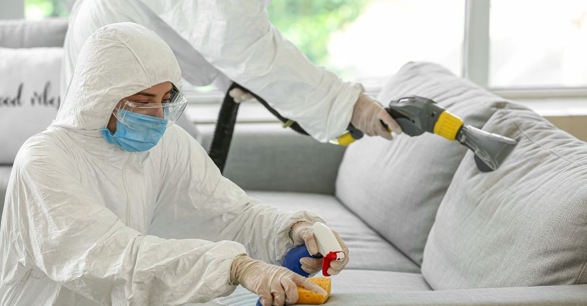 costi derattizzazione