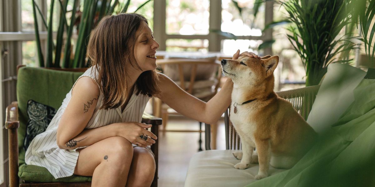 Casa vacanza pet-friendly