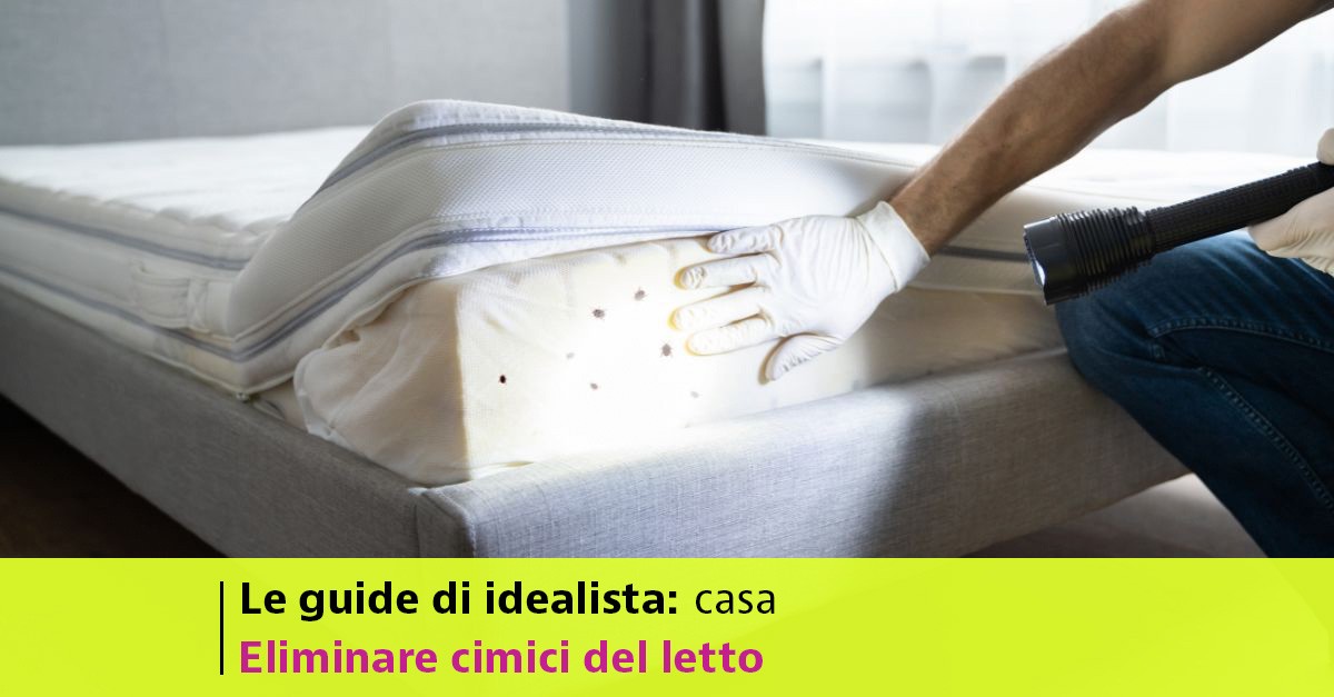 Come eliminare le cimici dal letto: rimedi pratici e consigli utili —  idealista/news