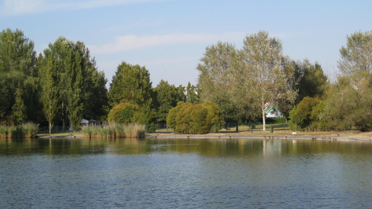 cosa vedere a forlì