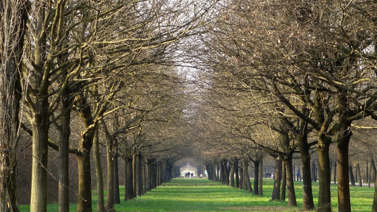 vivere a sesto san giovanni
