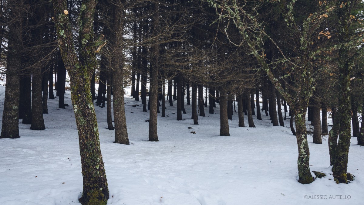 paese piu alto della sardegna