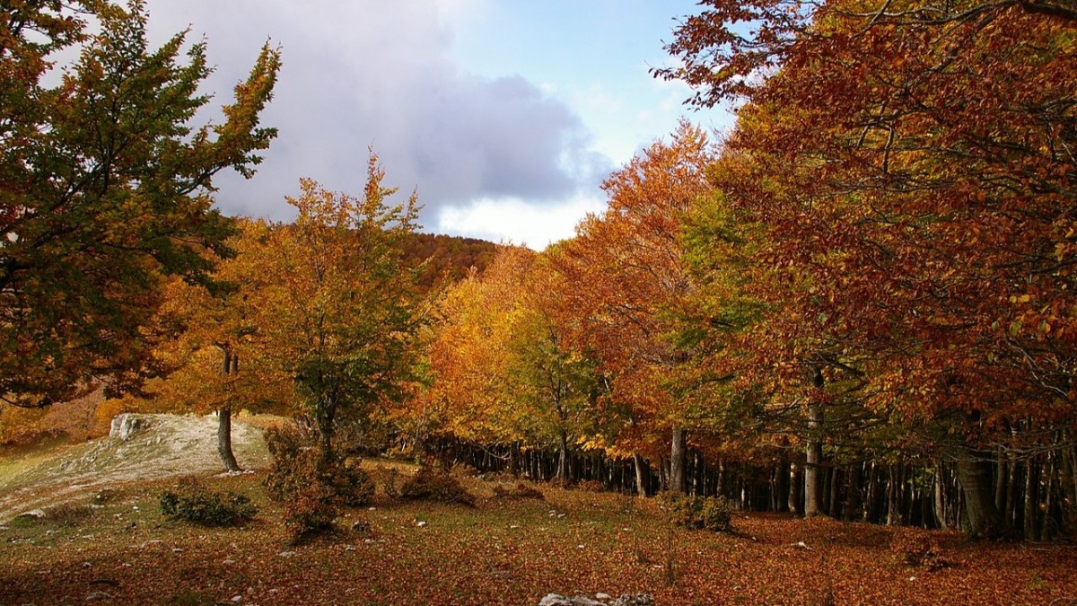 cosa vedere al monte livata