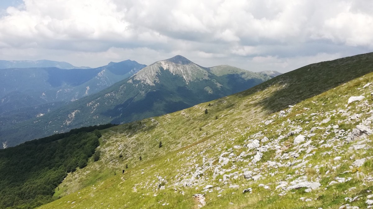 cosa vedere a campo staffi